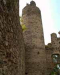 Zcenina hradu Kostomlaty nad Mileovkou 
(klikni pro zvten)