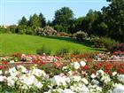 Rosarium - Botanick zahrada 
(klikni pro zvten)